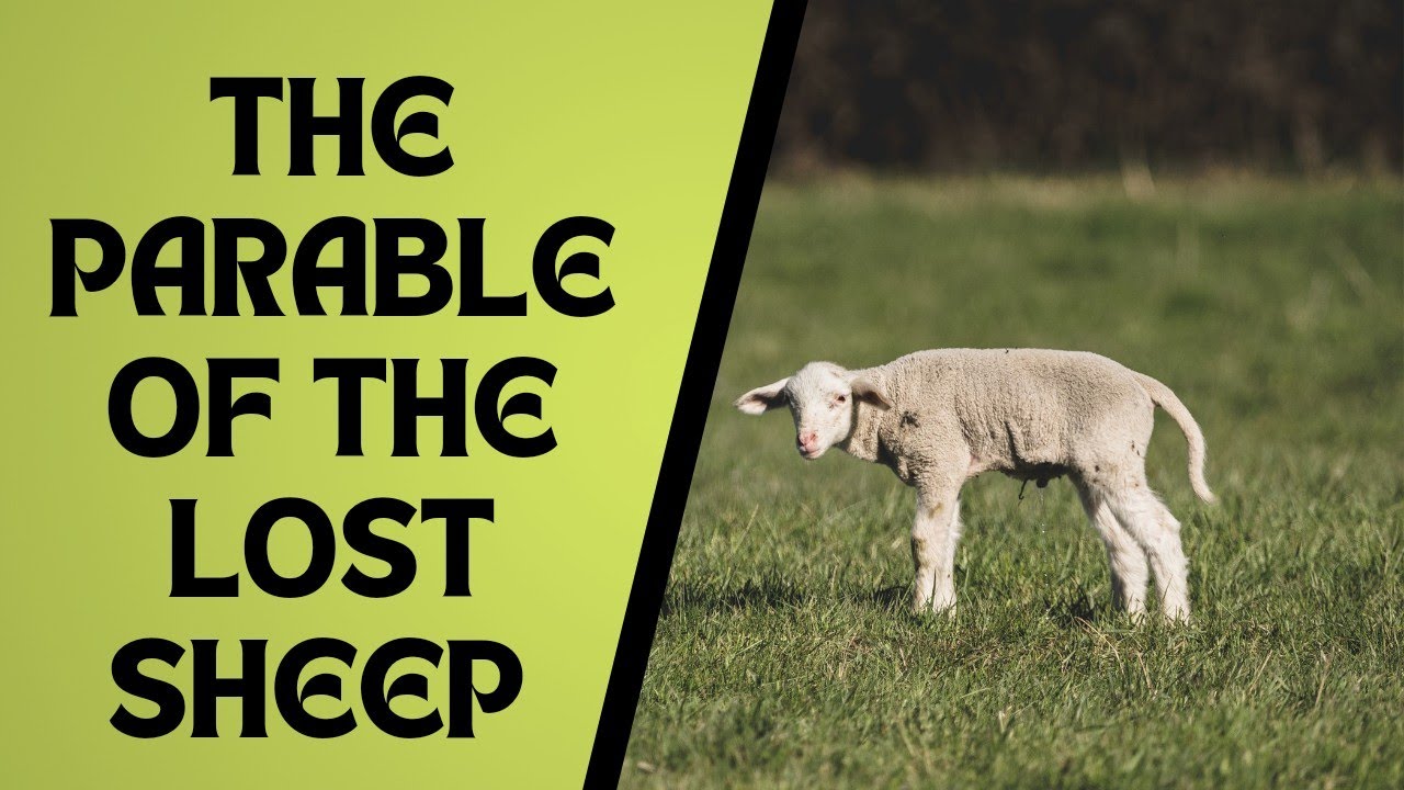 the parable of the lost sheep//the lost sheep