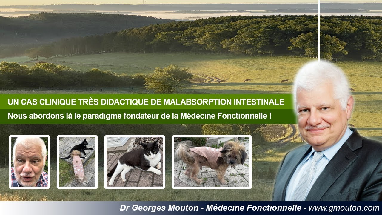 UN CAS CLINIQUE TRÈS DIDACTIQUE DE MALABSORPTION INTESTINALE