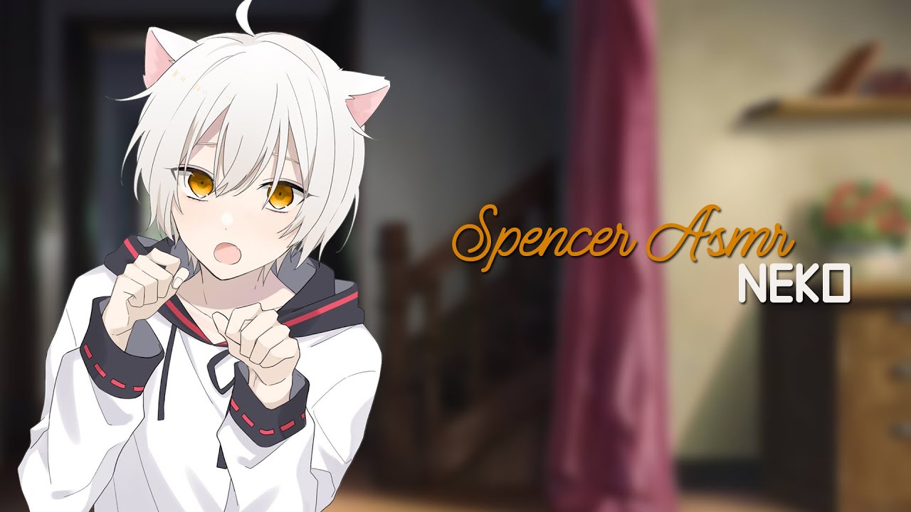Adotando Seu Neko