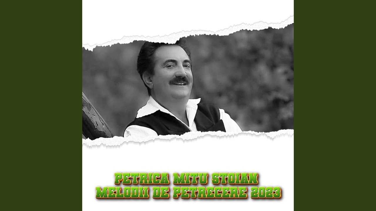 Petrica Mitu Stoian Melodii de petrecere 2023