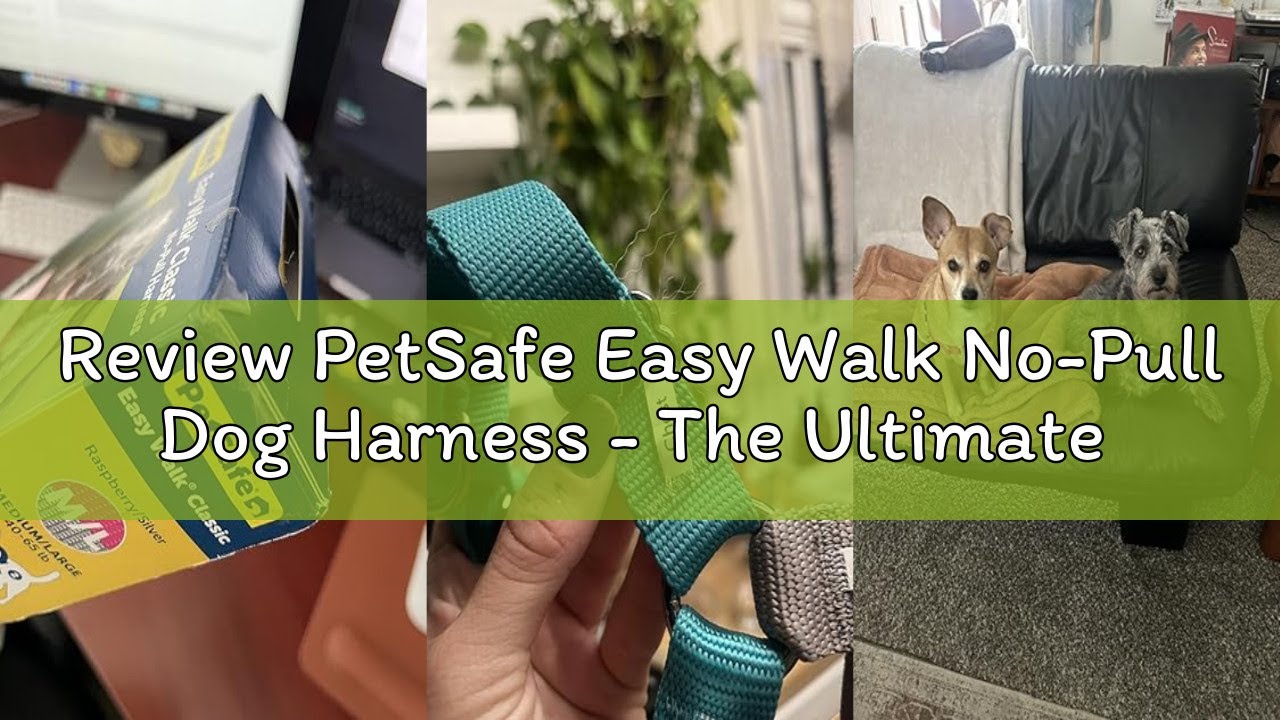 Review PetSafe Easy Walk No-Pull Dog Harness - The Ultimate Harness to Help Stop Pulling - Take Cont