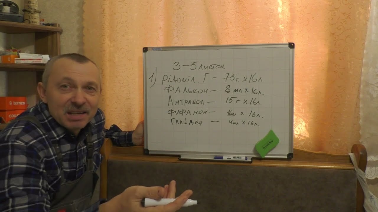 Фунгіциди, схема обробок на винограднику