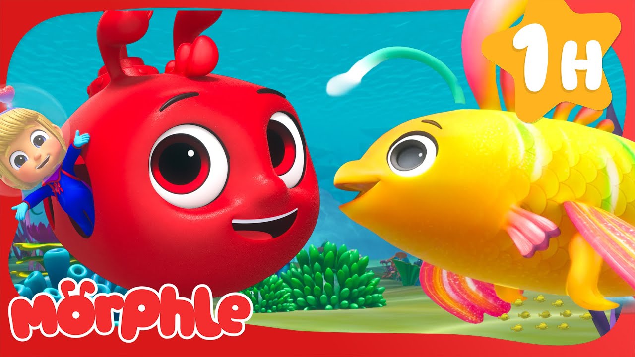 Finding Wishyfish 🐠 | Morphle | Fun Kids Adventure | Animal Cartoons