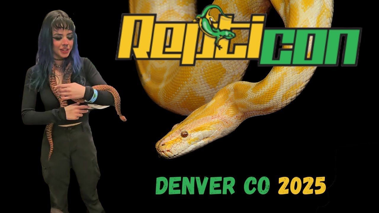 🦎 Repticon 2025 Was WILD! Snakes, Frogs, Lizards & a Scorpion Named Jasper 🐍🐸🦂