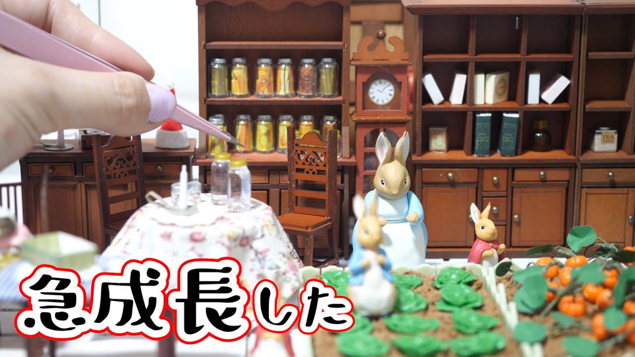 急成長したミニチュアドールハウス作り🐰ピーターラビットの世界イングリッシュガーデン＆ハウスNo.４【 こうじょうちょー  】