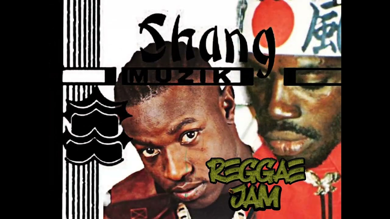 Ninja Man & Mad Cobra - Sting Night (Shang) 1996
