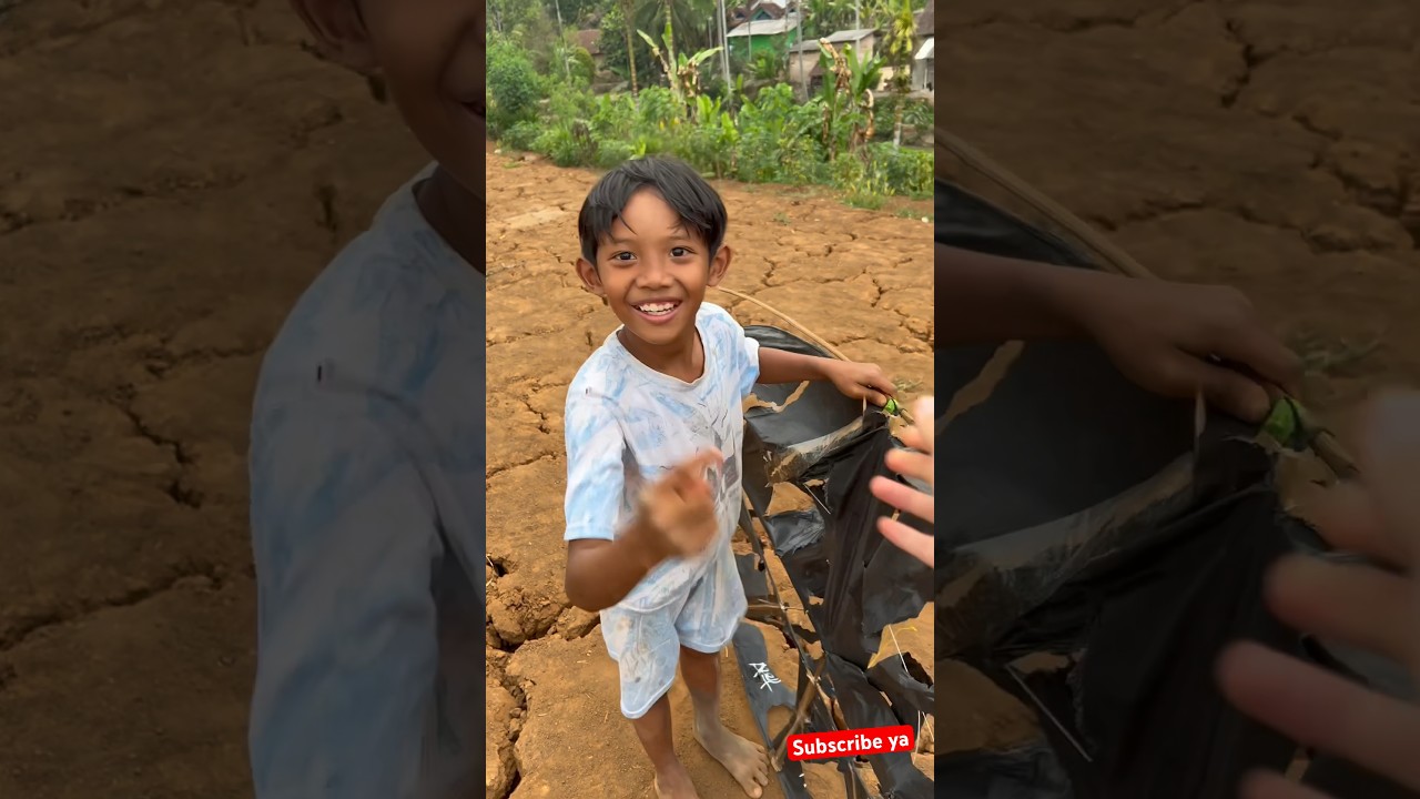 Beli layangan 2 ribu ternyata zonk #davidsunairi #minivlog #anakdesa #hidupdidesa #layangan