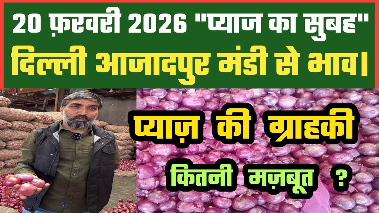 प्याज की ग्राहकी अच्छी कैसे ? Azadpur Delhi Mandi Today में 20-02-2026 के Onion Price DMT TV