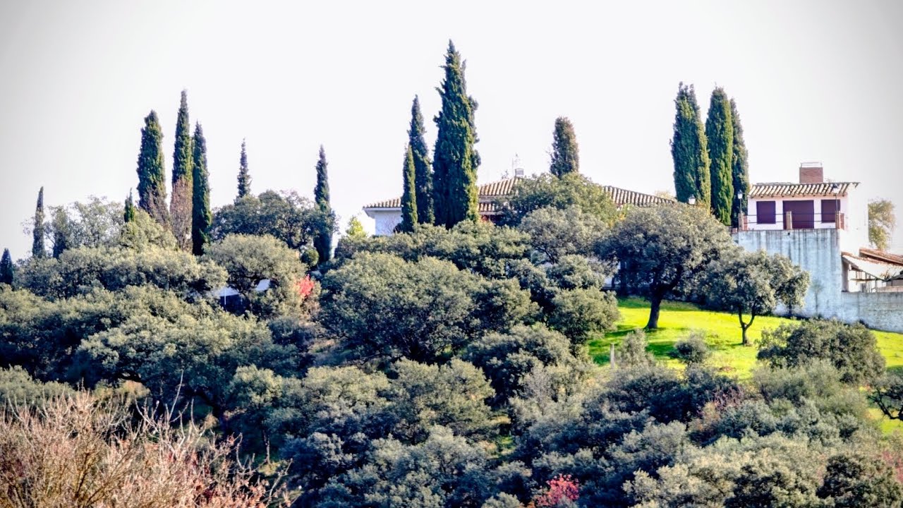20251214. Valdeverdeja. La Facciosa.