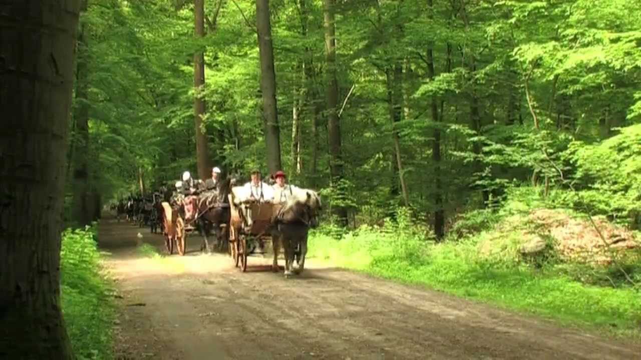 Koetsentocht  (videowinterswijk.nl)