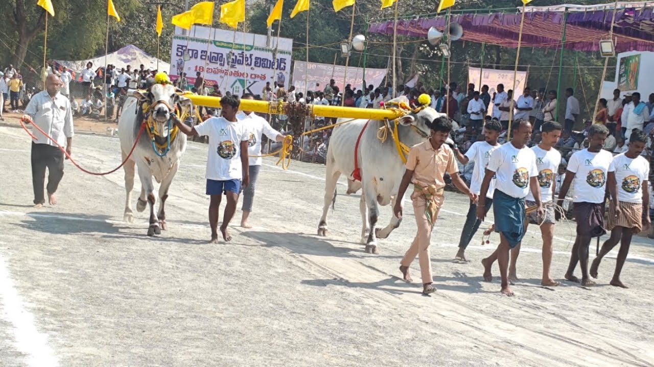 మహానంది న్యూ కేటగిరి విభాగం 4 వ జత