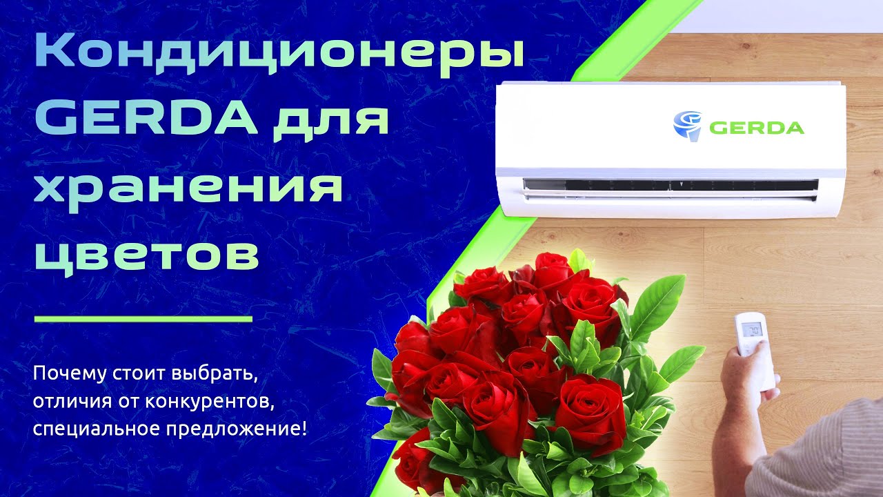 Лучший кондиционер для хранения цветов. Сплит-система GERDA