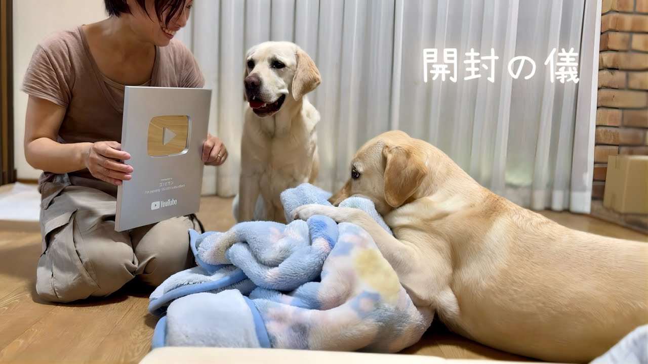 色々やっと開封しました！