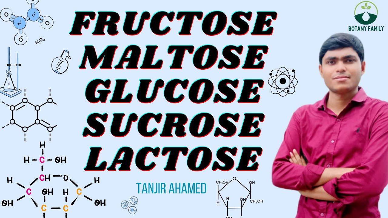 Stracture of Glucose,Fructose,Maltose,Sucrose,Lactogen