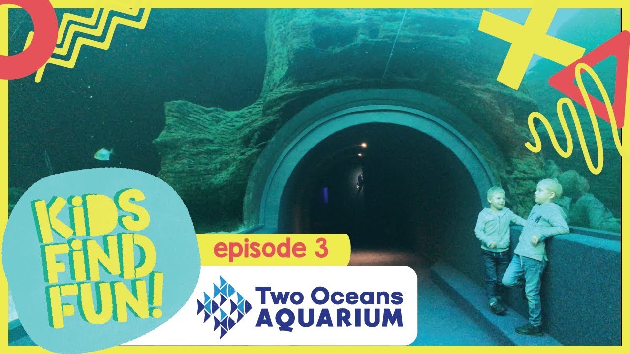 Two Oceans Aquarium – Kids Find Fun At Two Oceans Aquarium (Episode 3)