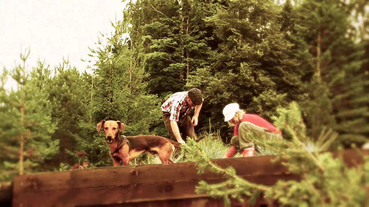 Suvel Sibulateel Peipsi ääres 2.mp4