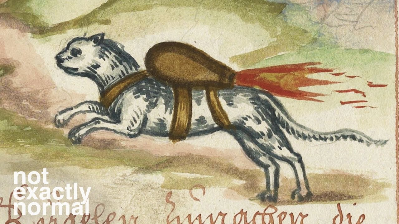 Rocket Cats, Bat Bombs and Pigeon Missiles