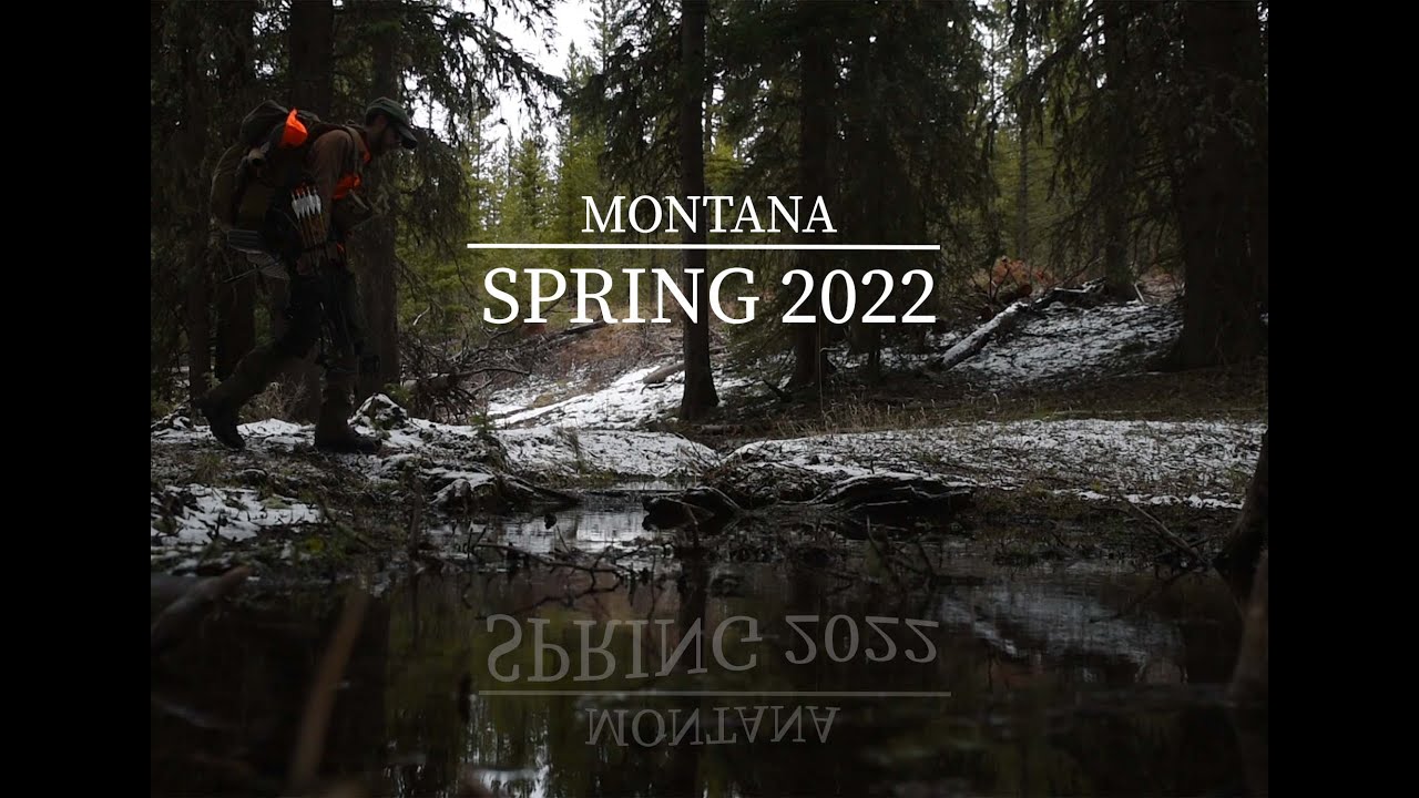 Spring Sizzle 2022 | MONTANA