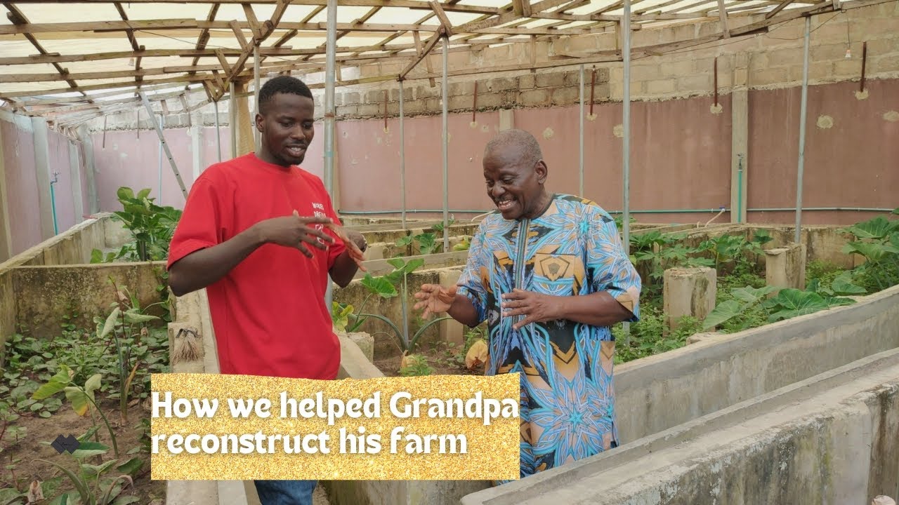 The Testimony of a Grandpa in Snail farming #snailfarming