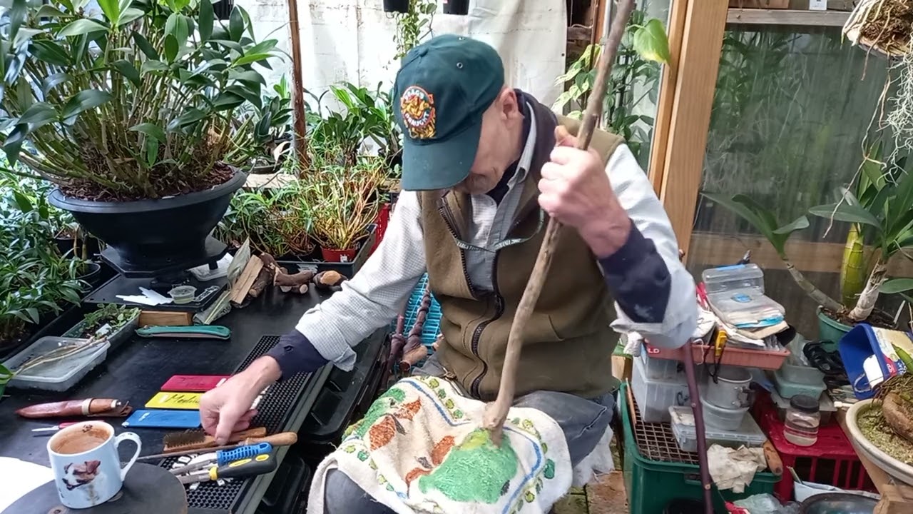 Personalised Walking Sticks from Natural Tree growths