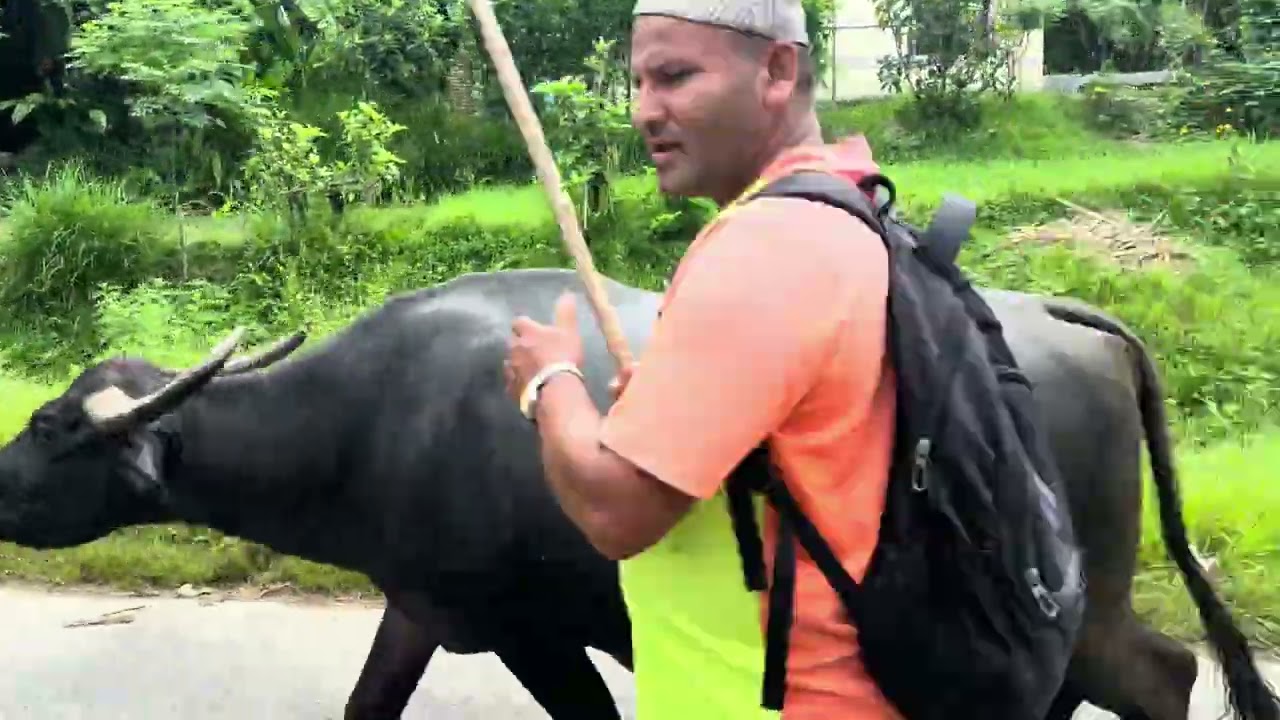 Pokhara to Damauli by-road part-103 🇳🇵 