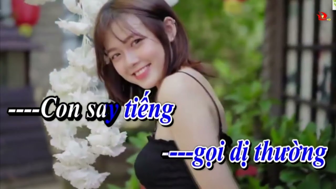 Rồi 20 năm sau  (TONE NAM)  12d karaoke sub 12