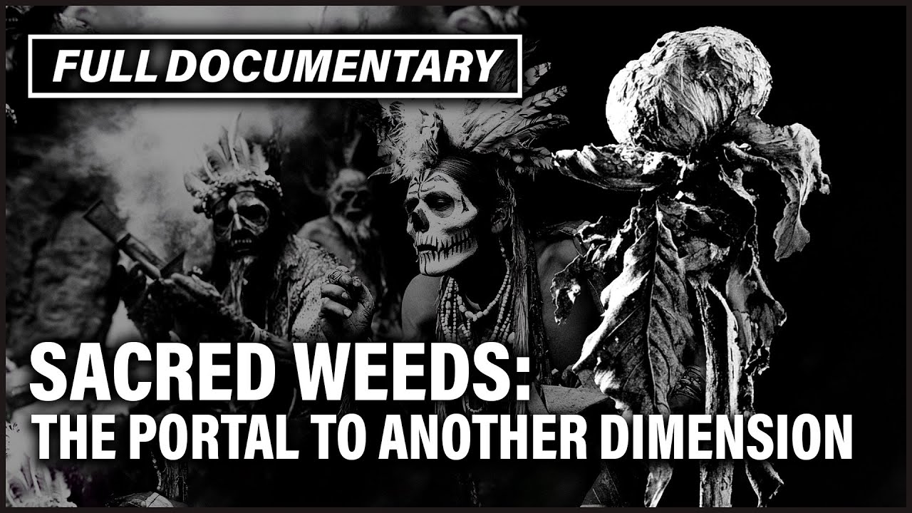 Sacred Plants Of Ancient Civilizations: The Hidden Truth Behind Weed