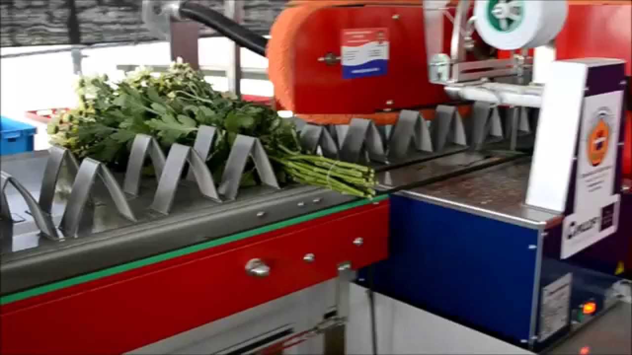 BTM Flower Processing Machine