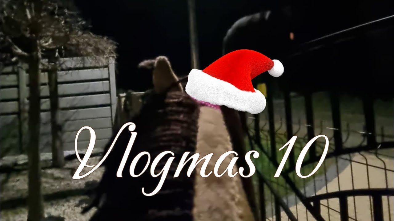Vlogmas 10🎄trening na Suzii🥰🌷