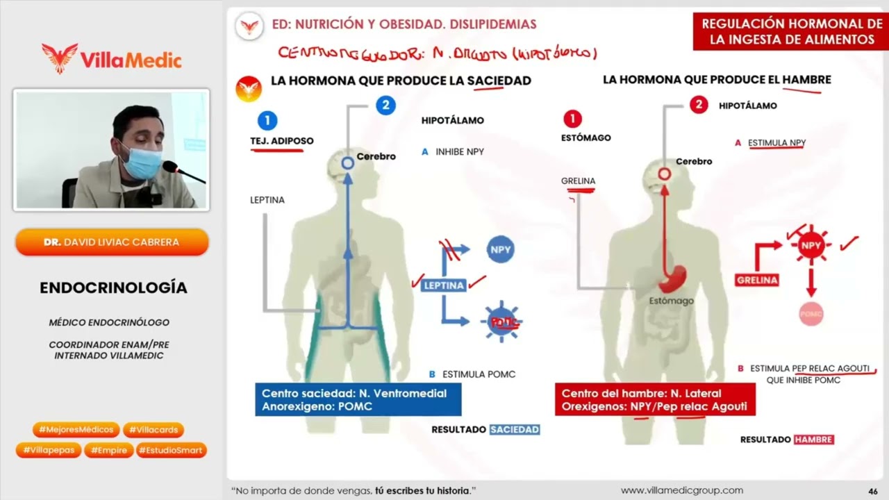 Dislipidemias 2025: Diagnóstico, Clasificación y Tratamiento Actualizado | VILLAMEDIC