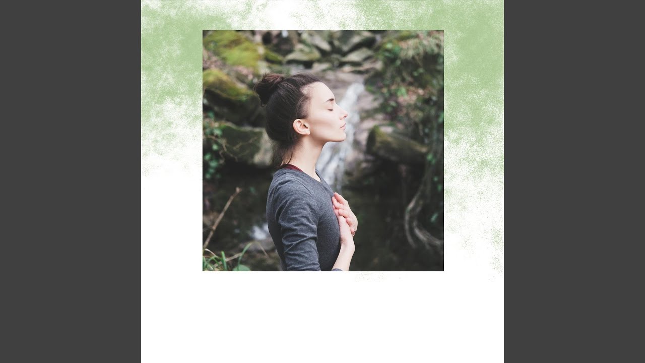 A Story of Harmonious Forests