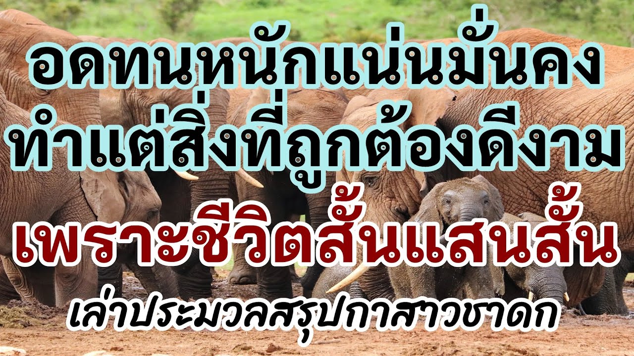 อดทนหนักแน่นมั่นคงทำแต่สิ่งที่ถูกต้องดีงาม เพราะชีวิตสั้นแสนสั้น_เล่าประมวลสรุปกาสาวชาดก