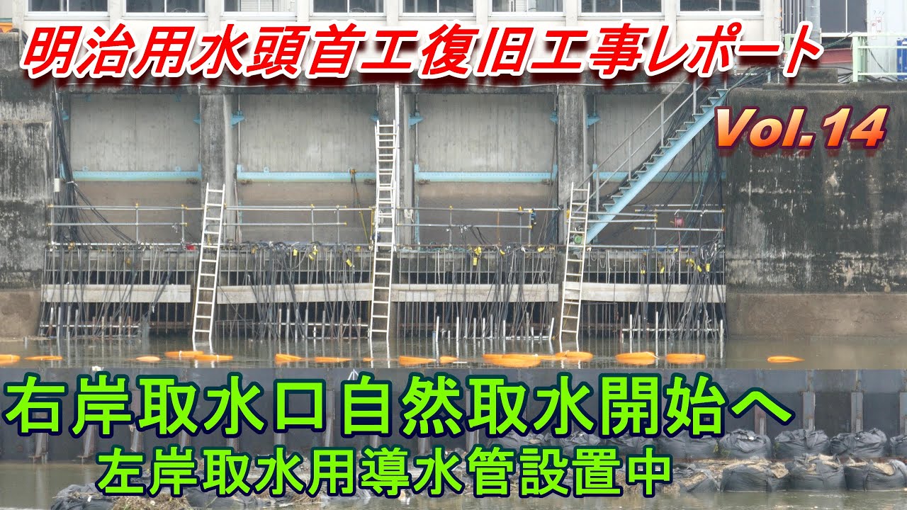 【右岸取水口自然取水開始へ】明治用水頭首工復旧工事レポート Vol.14