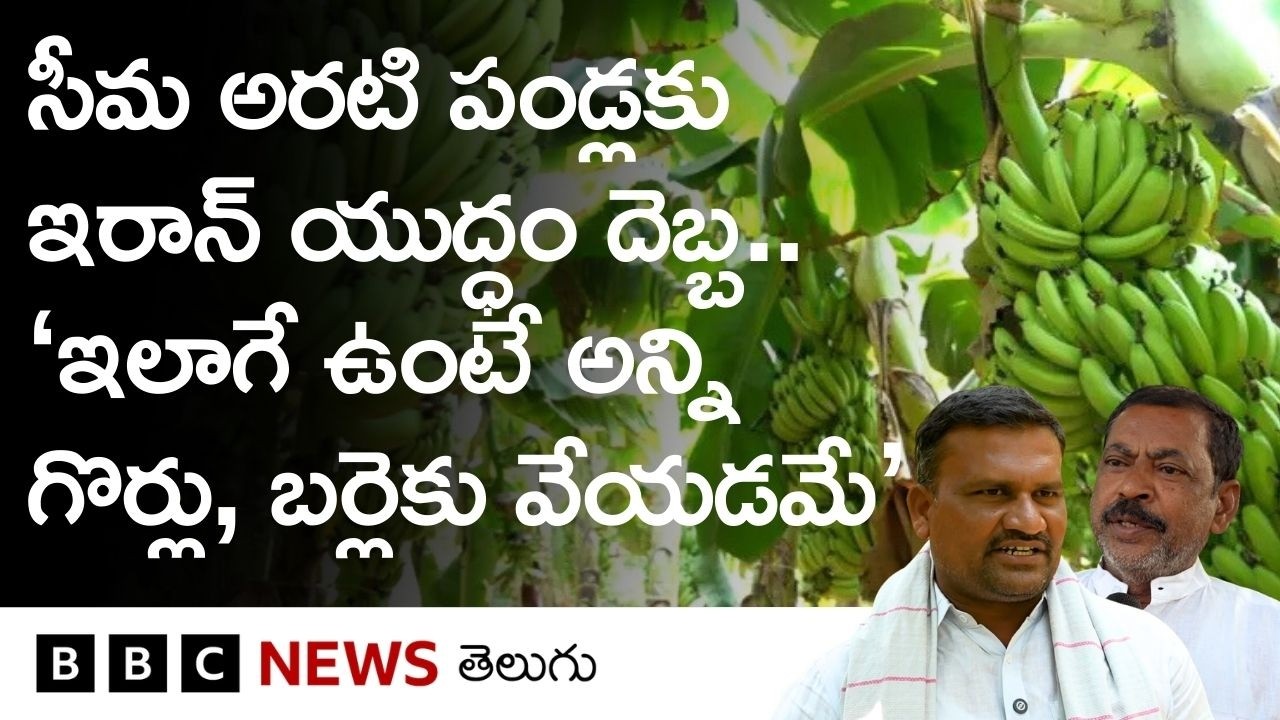 'ఆ డబ్బులు వస్తాయో రావో కూడా తెలీట్లేదు'.. రాయలసీమ అరటిరైతులను తాకిన Iran యుద్ధం దెబ్బ
