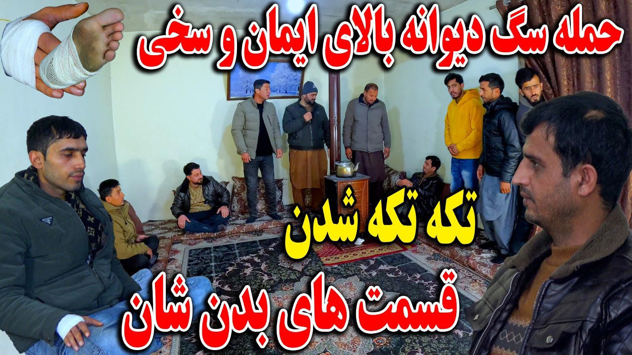حمله سگ دیوانه بالای ایمان و سخی - زخمی شدن و پاره شدن قسمت های بدن شان🥹👏