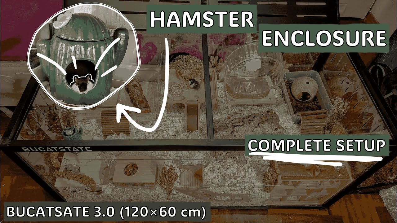 Hamster Enclosure COMPLETE Setup Tutorial