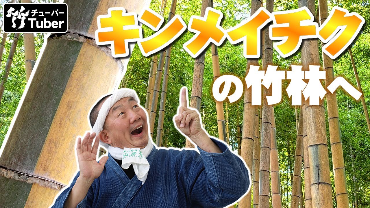 【竹虎】1万坪の竹林にて金明孟宗竹と黄金孟宗竹に会う！ 竹チューバー竹虎四代目の世界