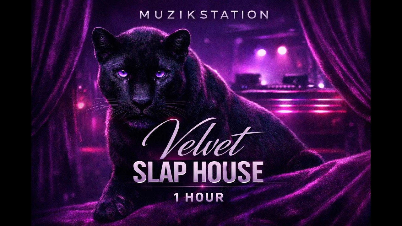 MUZIKSTATION | Velvet Slap House | 1 Hour Brazilian Slap House