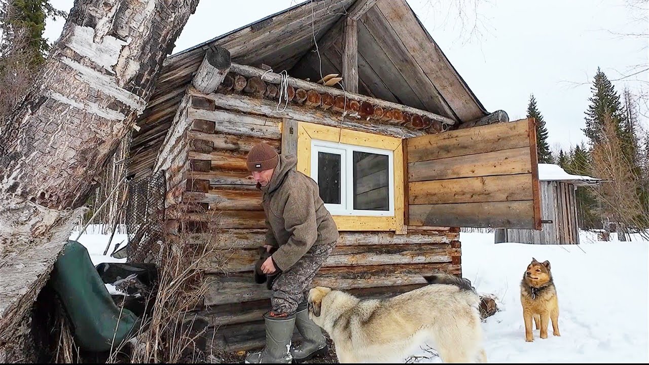 ОТКРЫЛАСЬ ОХОТА НА МЕДВЕДЯ / ПО ПОСЛЕДНЕЙ ДОРОГЕ УСПЕВАЮ УЛАДИТЬ ДЕЛА В ТАЙГЕ / СКОРО ПРИЛЕТЯТ УТКИ.