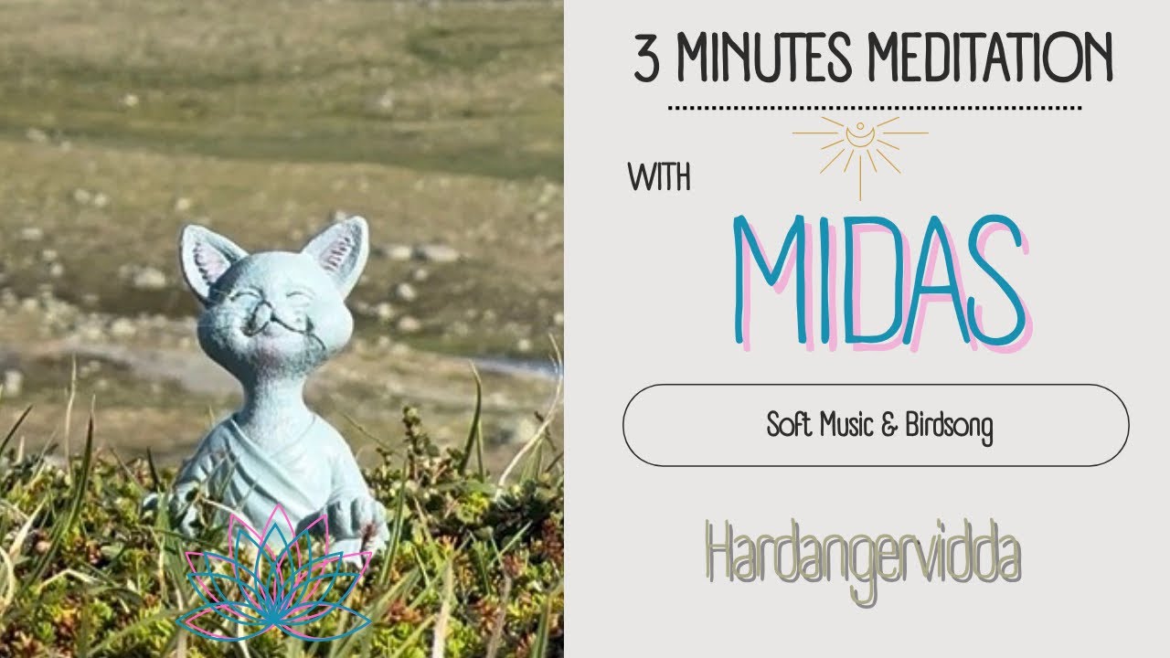 Meditate with Midas: Hardangervidda &ndash; Stillness at the Edge of the Mountain 