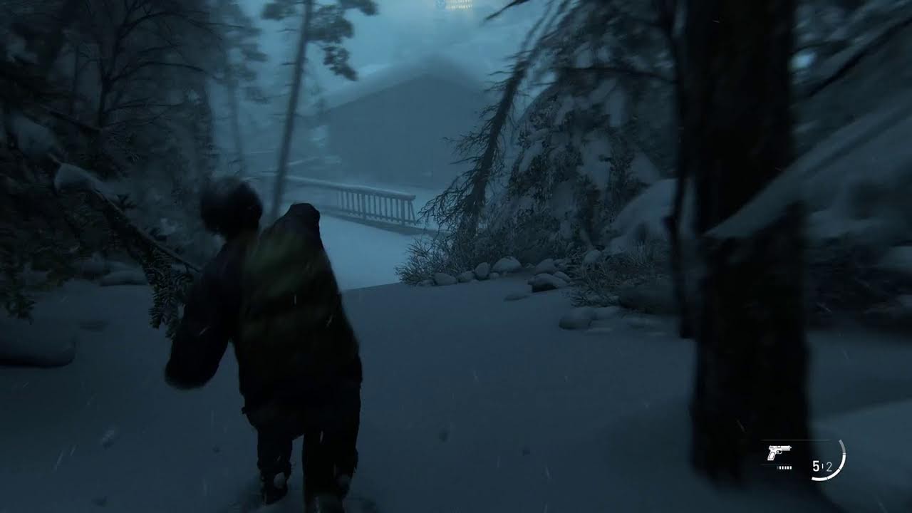 the last of us pc