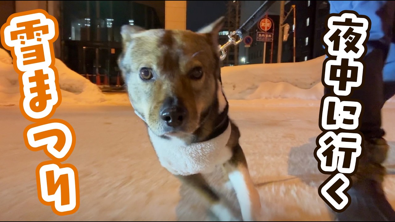 男だけで「札幌 雪まつり」に行ってみたら…