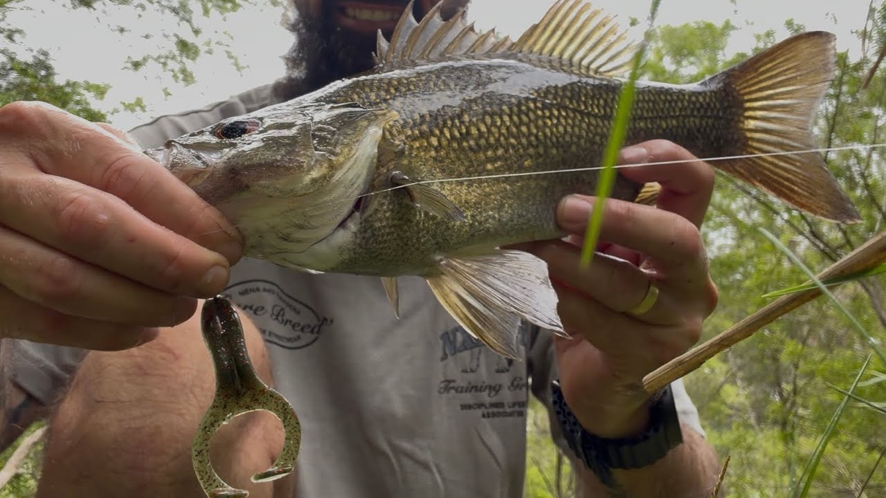 Couple of Bass off the top! 