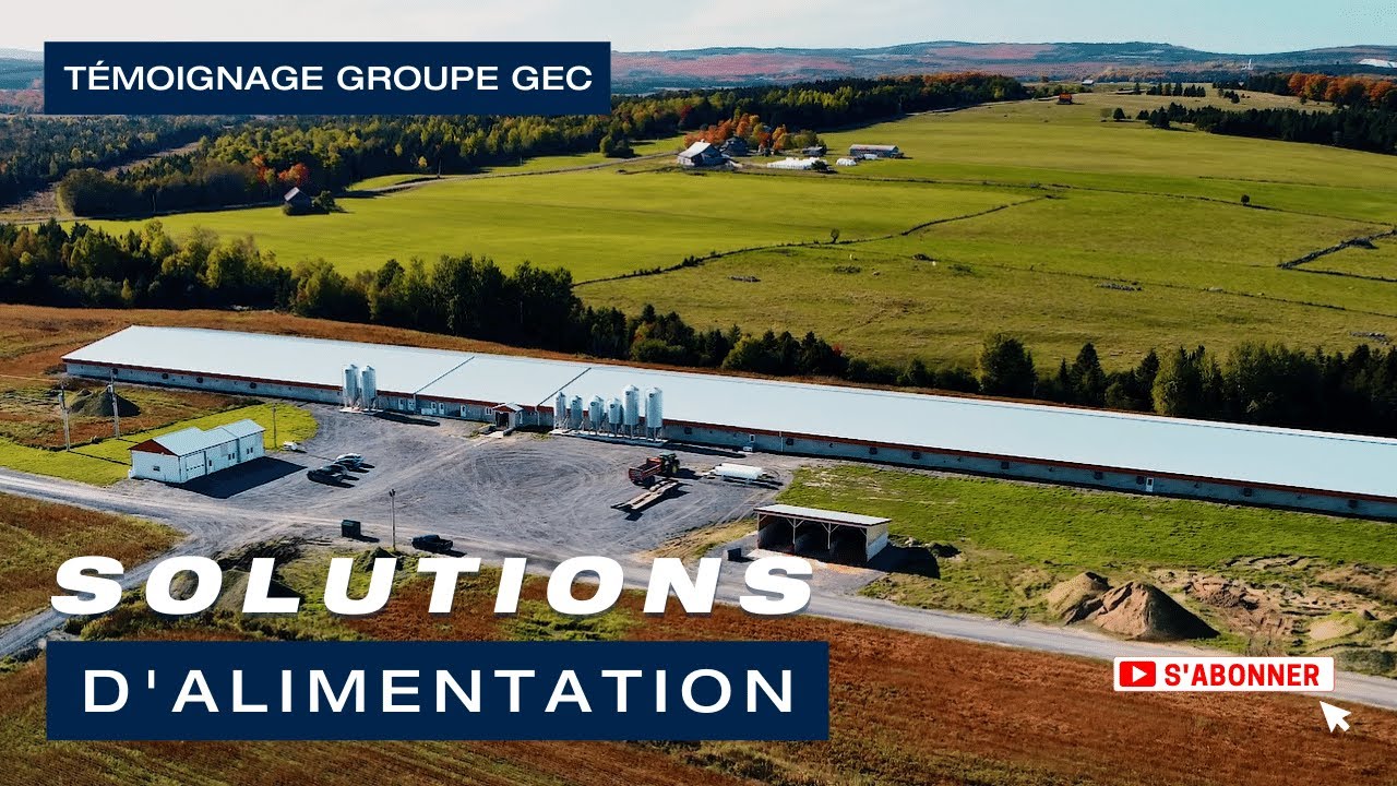 Ferme porcine de 3000 truies &eacute;quip&eacute;e du syst&egrave;me d'alimentation GESTAL