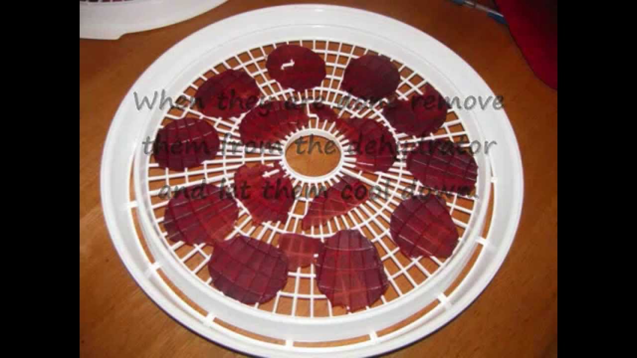 Cranberry Fruit Leathers ~ Dehydrated