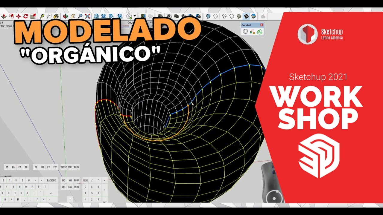 Workshop Sketchup - Modelado Org&aacute;nico (Ejercicios)