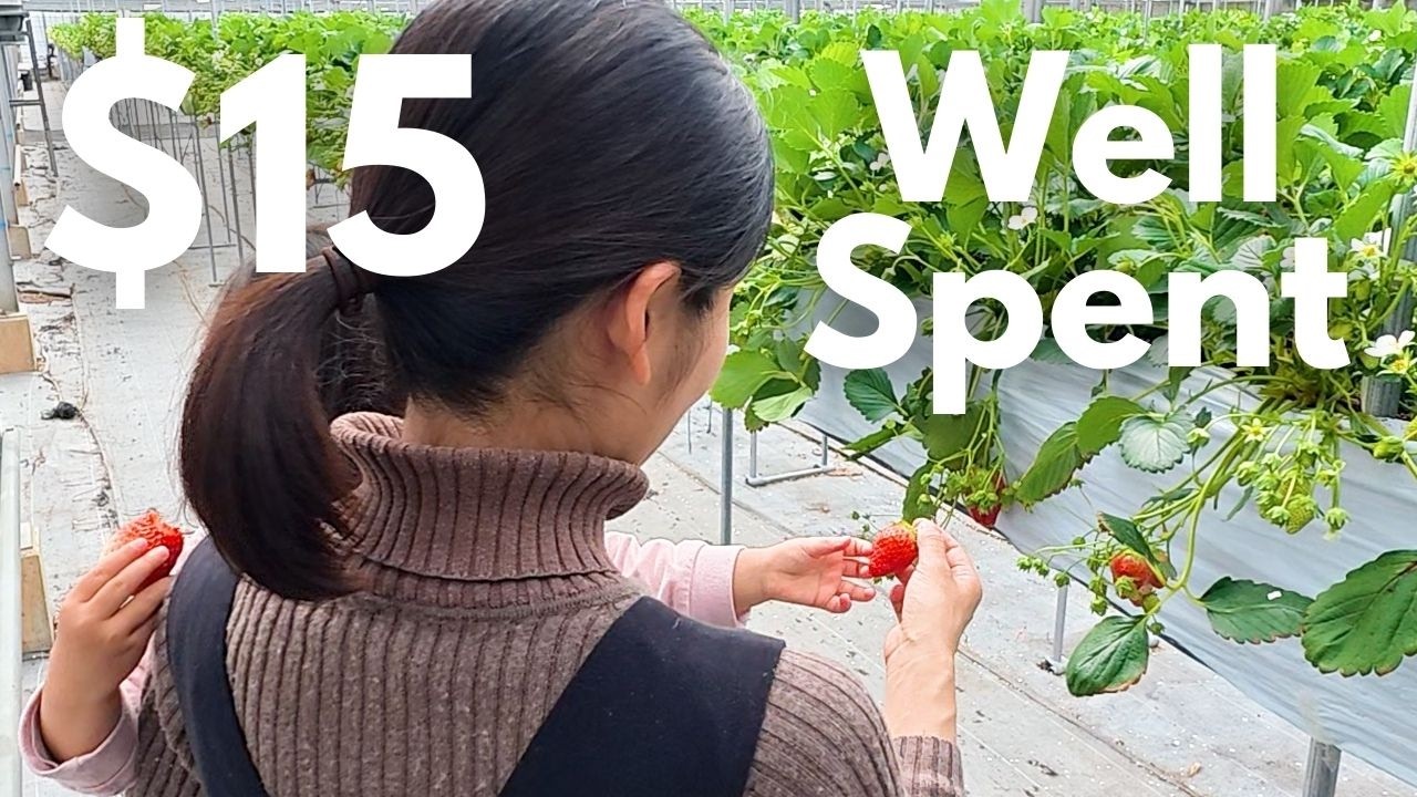 A $15 Gift for the Kids in Japan | Our Little Spring Luxury 🍓