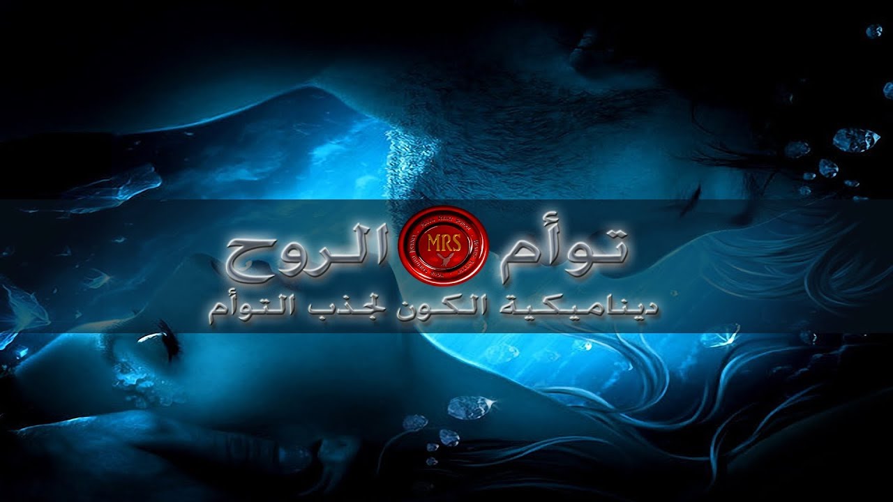 توأم الروح | ديناميكية الكون لجذب توأمك | تينا عواد