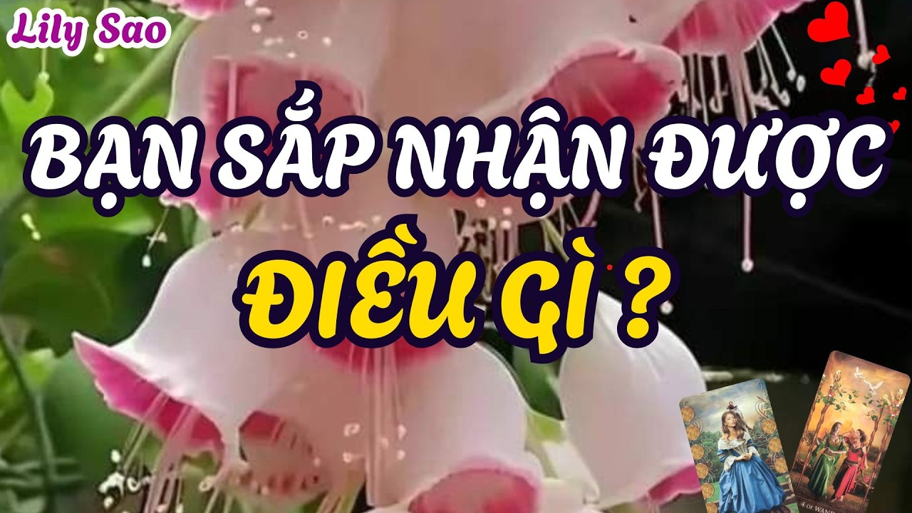Tarot | Bạn Sắp Nhận Được Điều Gì ? Thông Điệp Tương Lai Gần