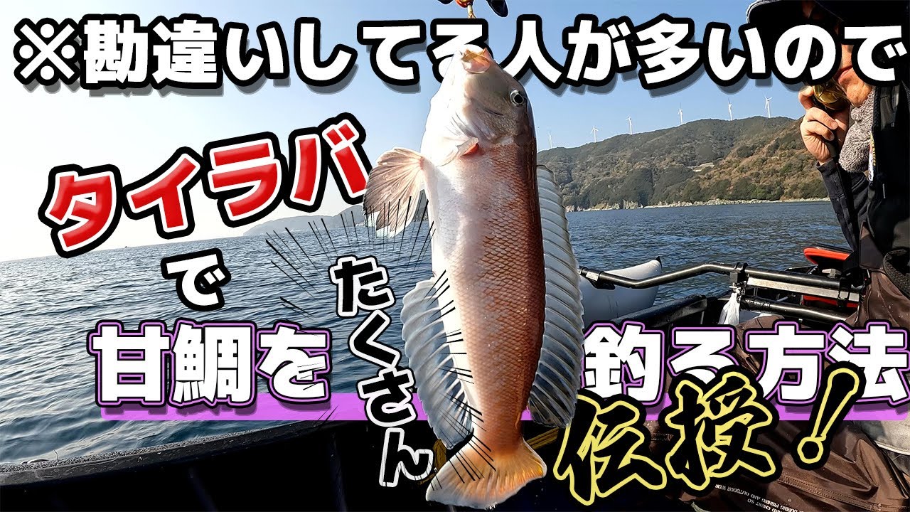 タイラバで甘鯛を爆釣させるマル秘テクニックを2つお伝えします　#イージーシェイカー　#DRESSヒートベスト　スポーツパル in 愛媛